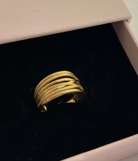 Anello Leeg