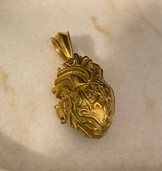 Cuore Anatomico scrigno