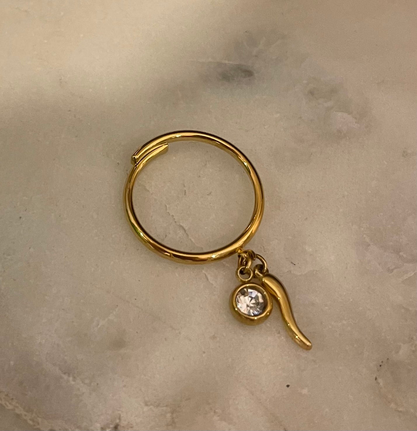 Anellini Gold Charms