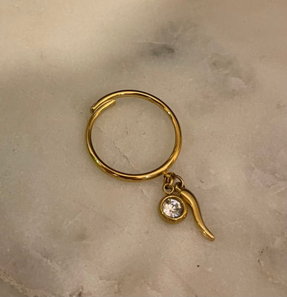 Anellini Gold Charms