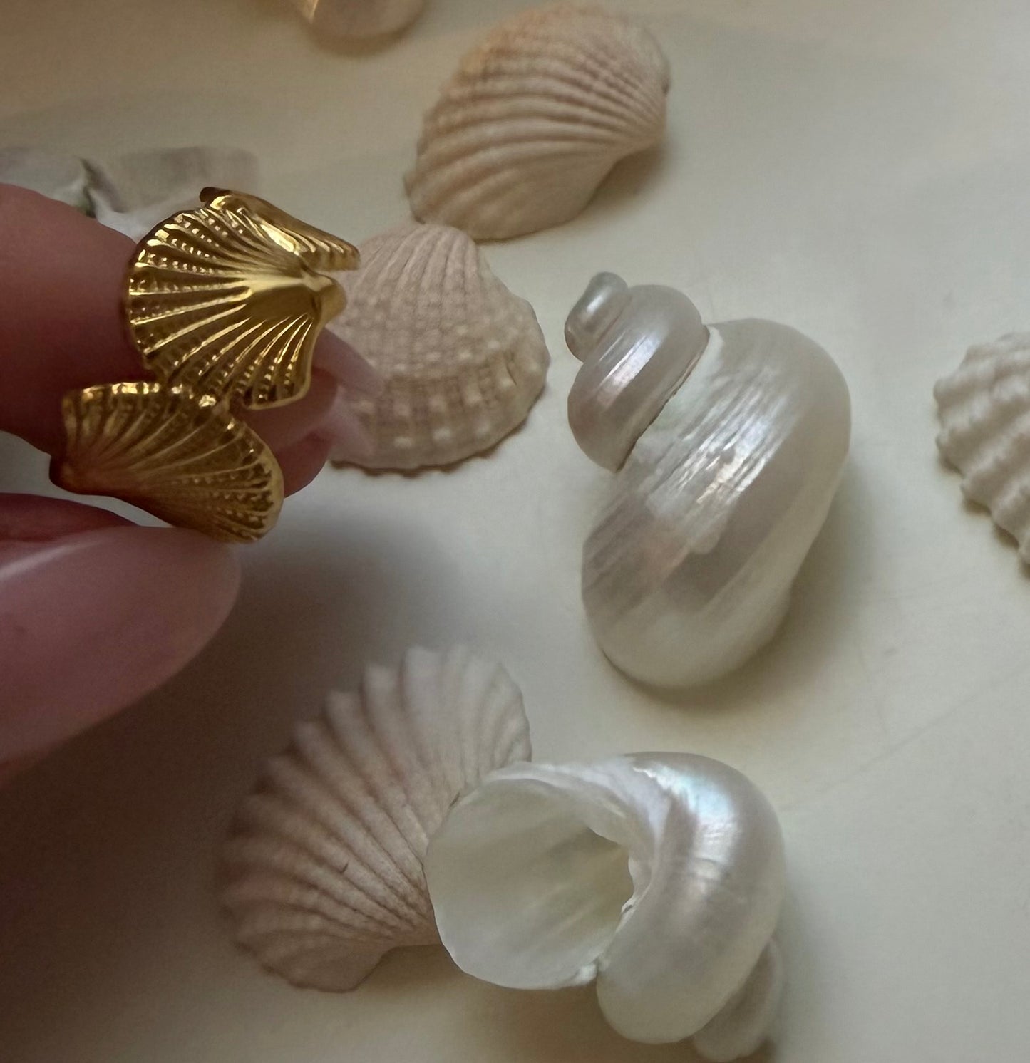 Anello Shell