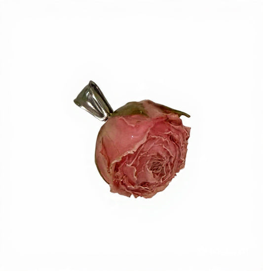 ROSELLINA ROSA/ silver