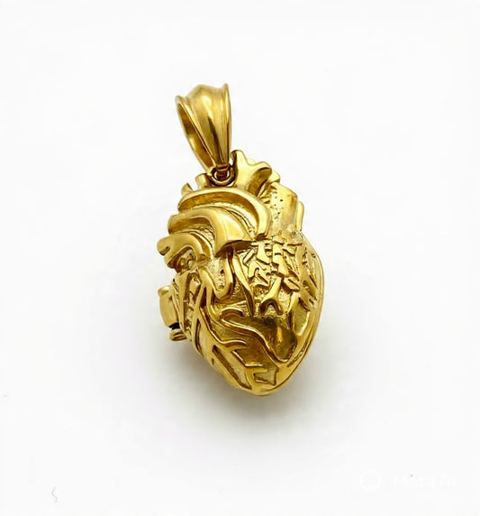Cuore Anatomico scrigno