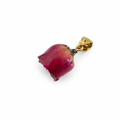 Rosellina Fucsia laccata