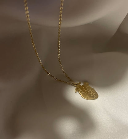 Collana Cuore Anatomico