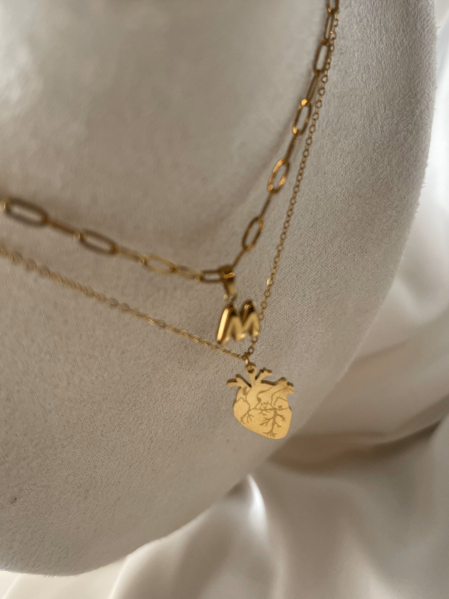 Collana Cuore Anatomico